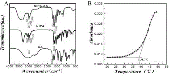 Tumor-targeted magnetic hydrogel nanoscale medicine delivery system and construction method and application thereof