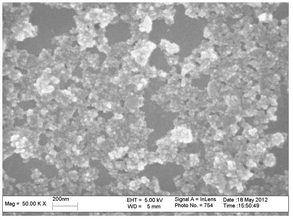 Fe3O4/TiO2 nano magnetic composition and in-situ growing preparation method thereof