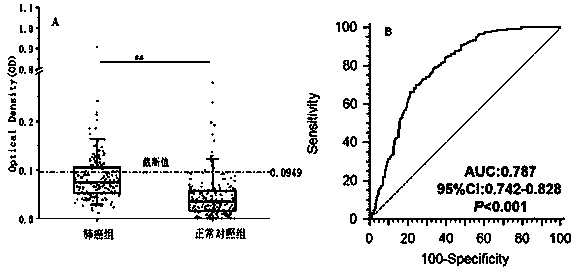 Lung cancer marker anti-ACTR3 autoantibody and applications thereof
