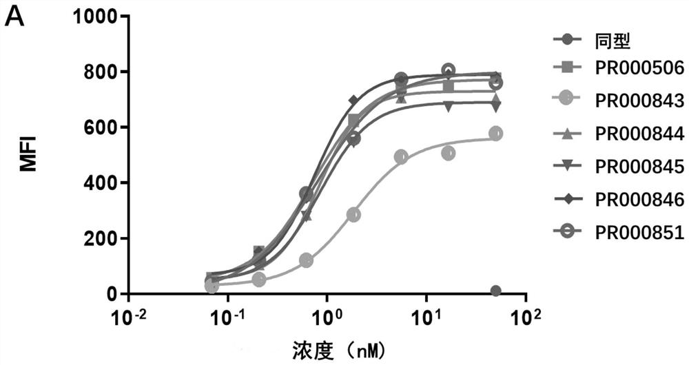 Anti-cd73 antibody and application thereof