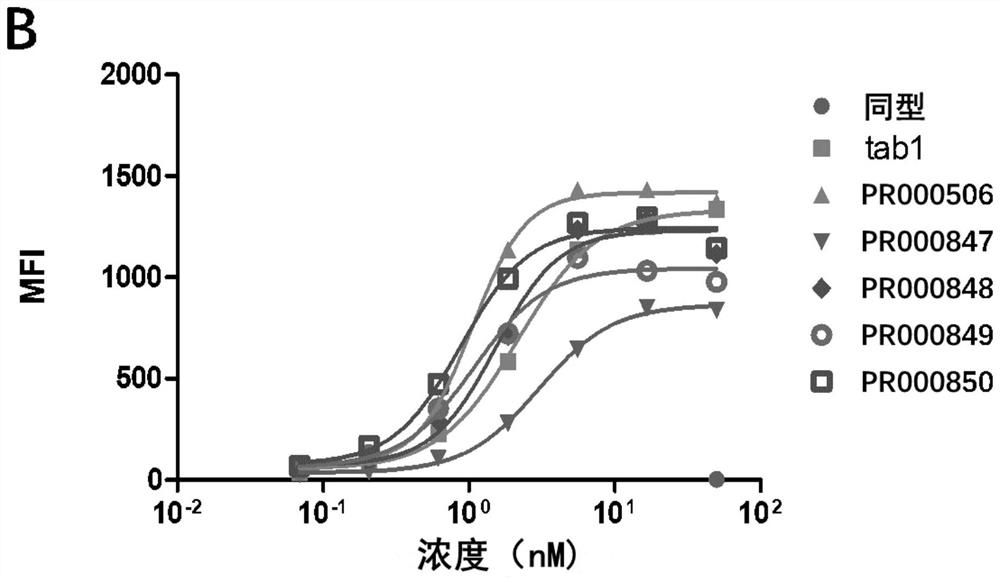 Anti-cd73 antibody and application thereof