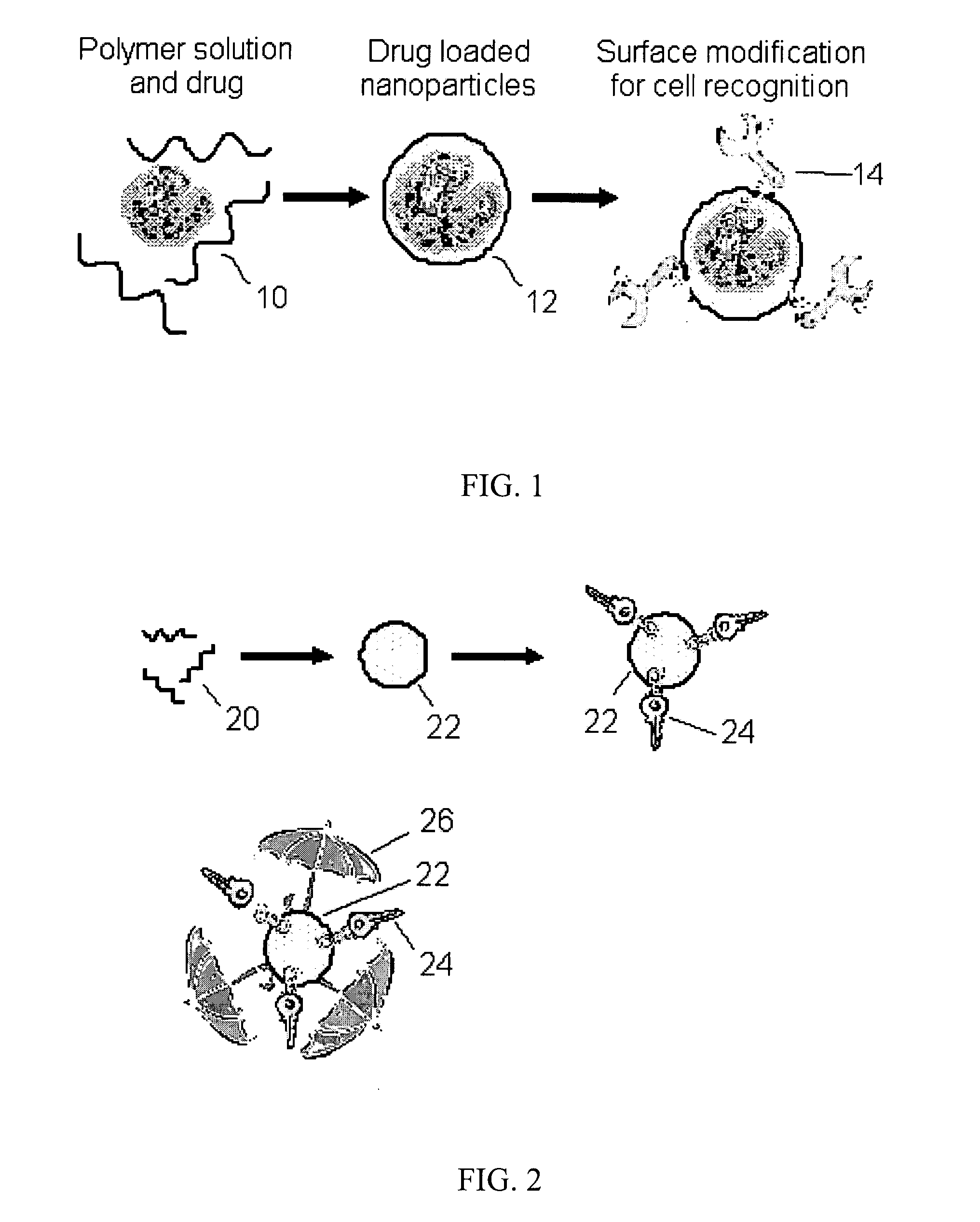 Formulation of powder containing nanoparticles for aerosol delivery to the lungs