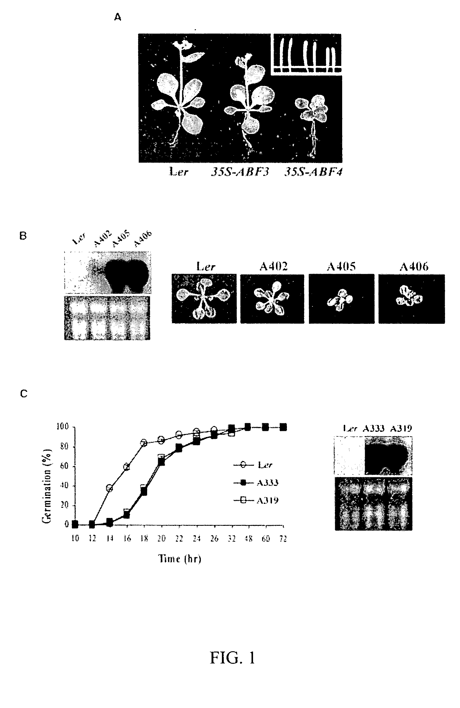 Transgenic plants with enhanced stress tolerance