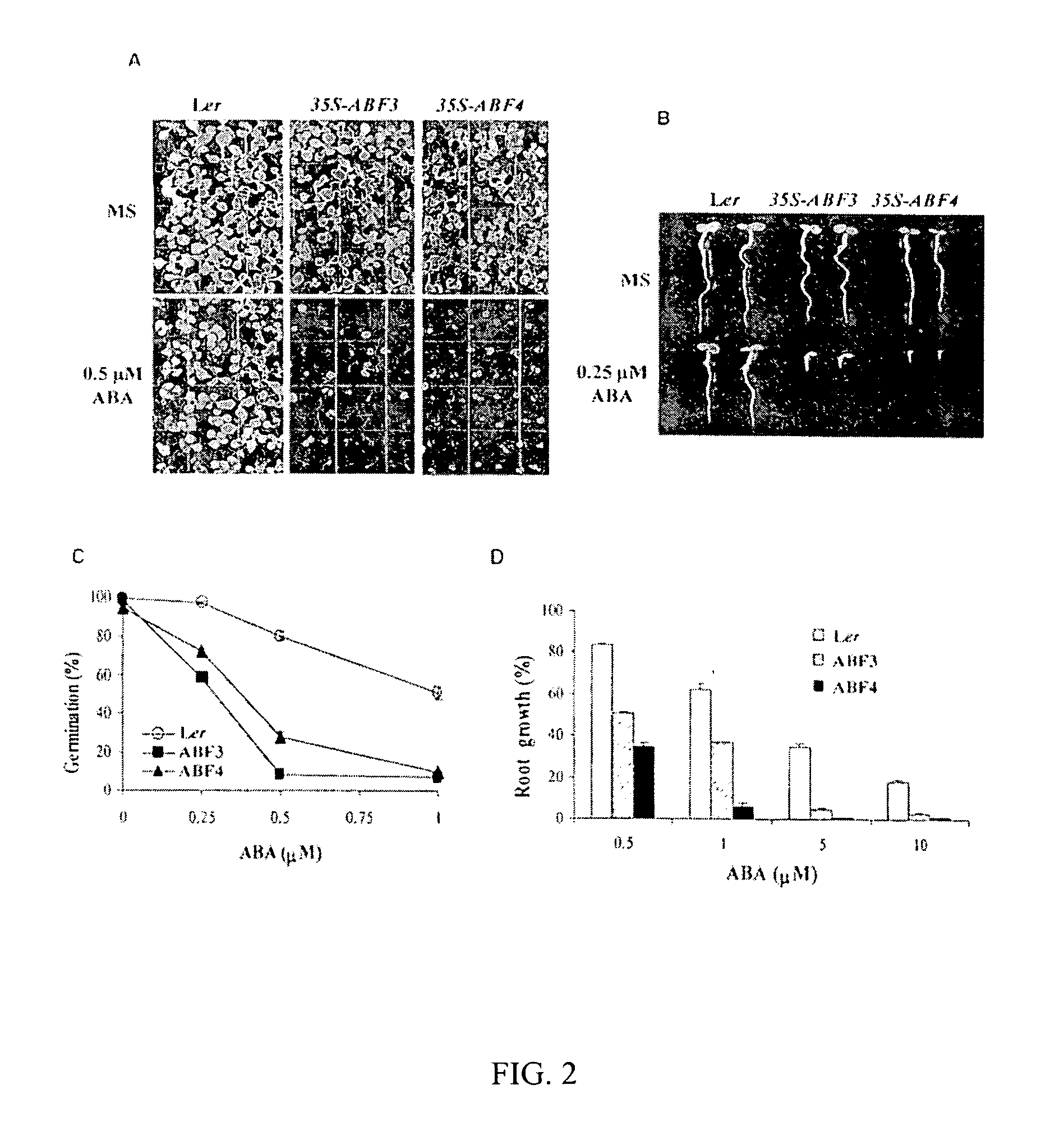 Transgenic plants with enhanced stress tolerance