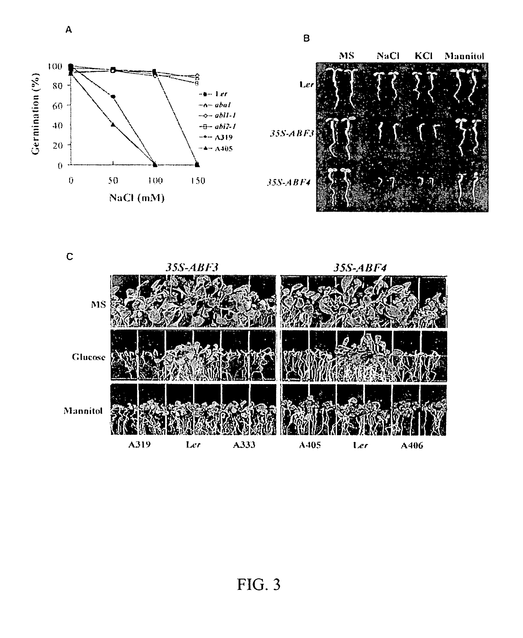 Transgenic plants with enhanced stress tolerance