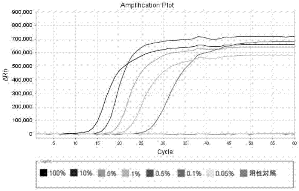 Primer, kit and method for isothermal amplification detection of chestnut allergen