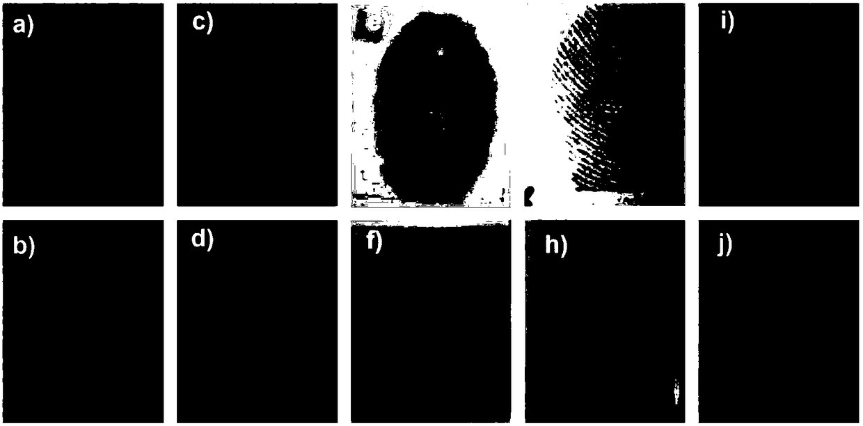 An integrated method for developing and transferring latent fingerprints based on interfacial separation of polydopamine films