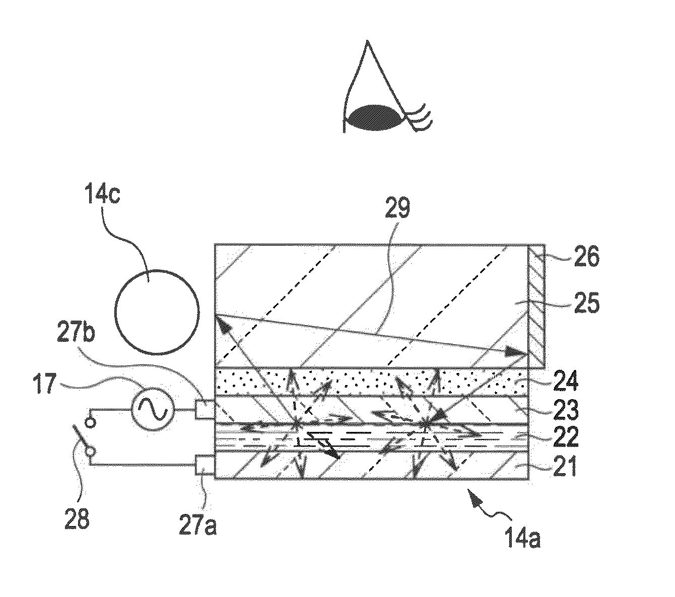 Display device and portable terminal