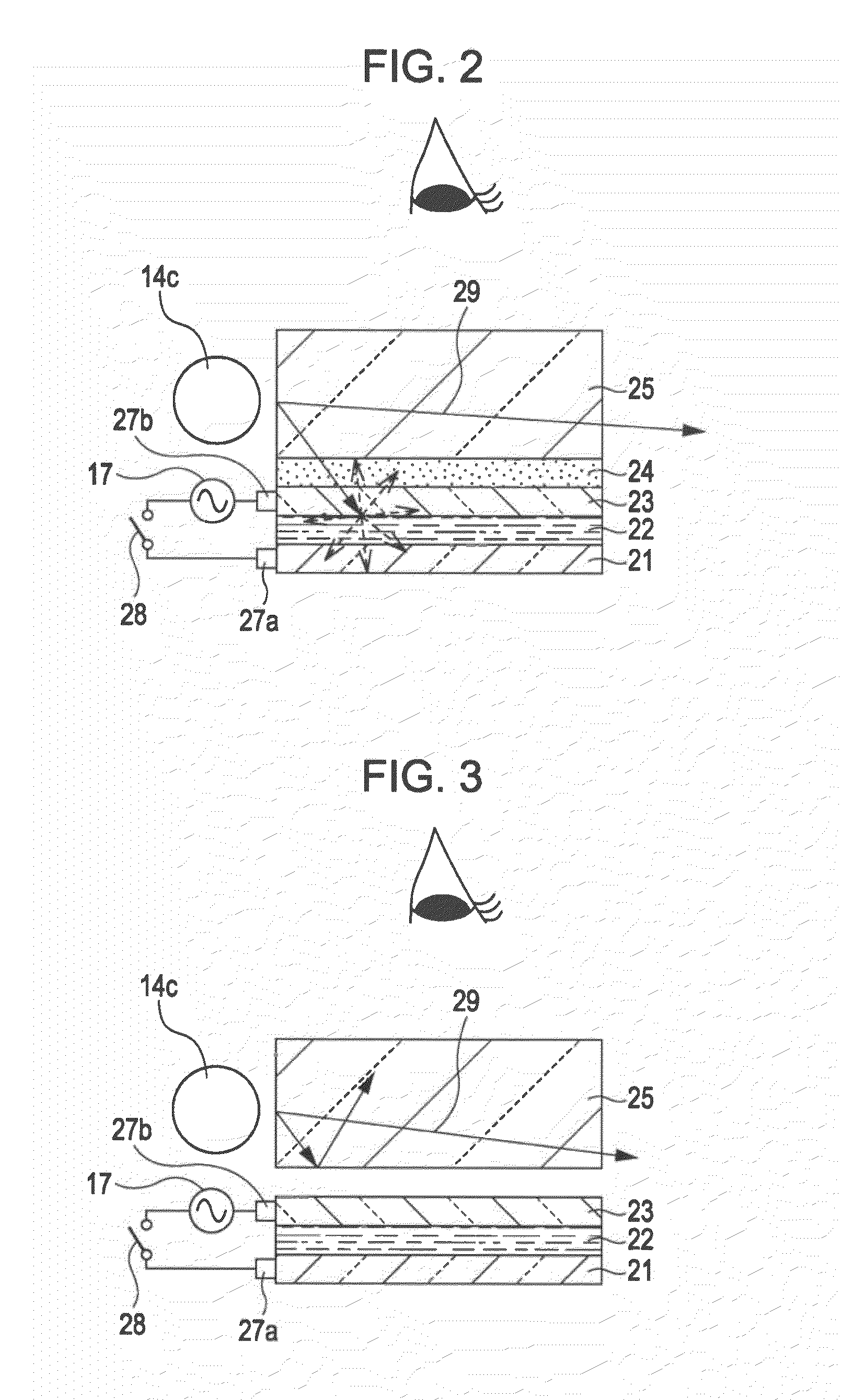 Display device and portable terminal