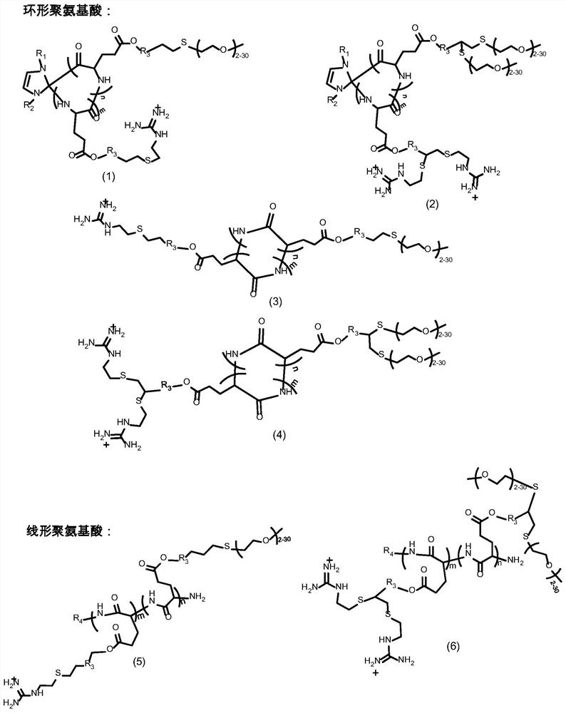 Antiserum and low cytotoxicity polyamino acid gene delivery carrier material with transmembrane activity and nuclear localization function