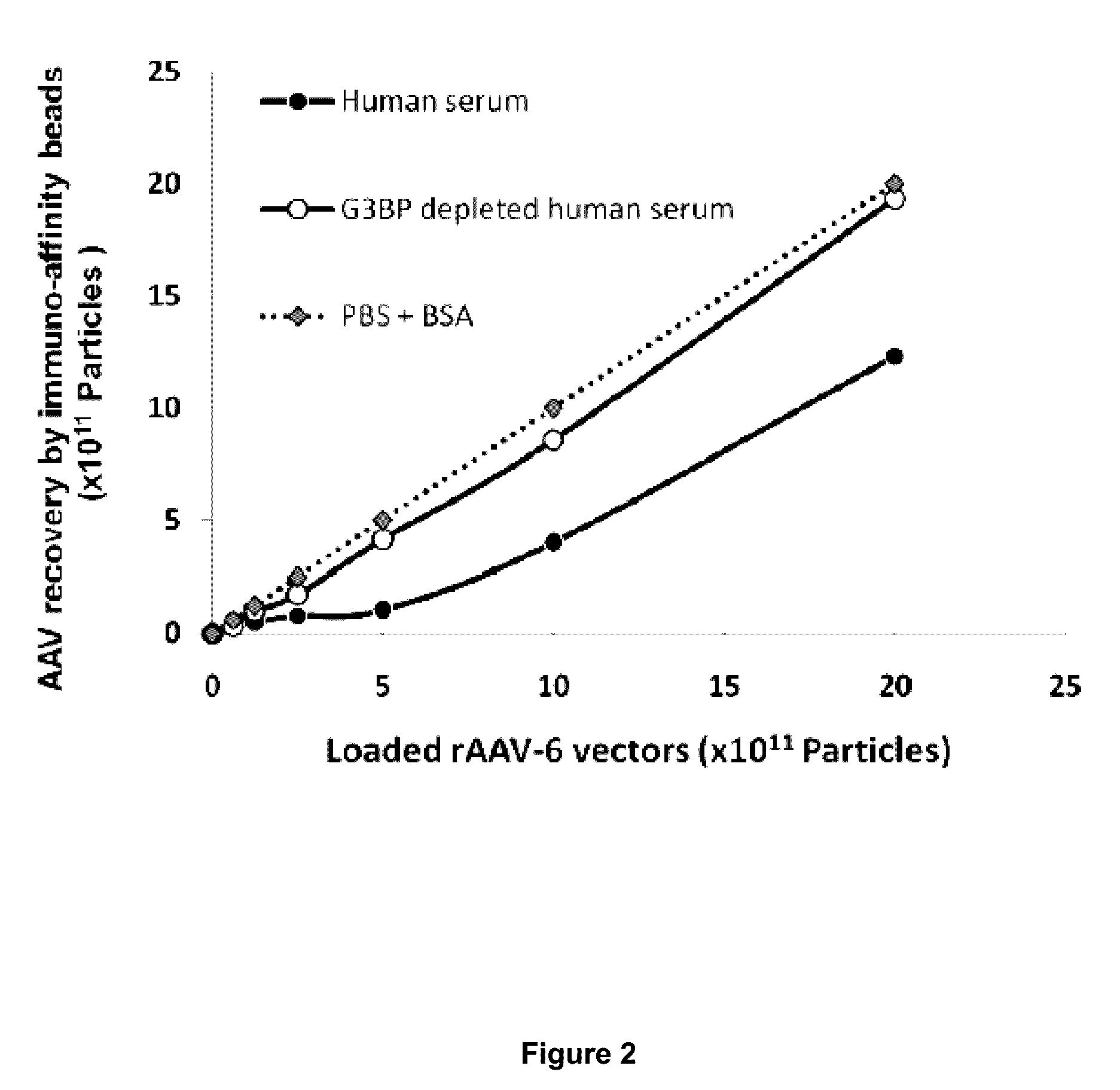 Methods of increasing efficiency of vector penetration of target tissue