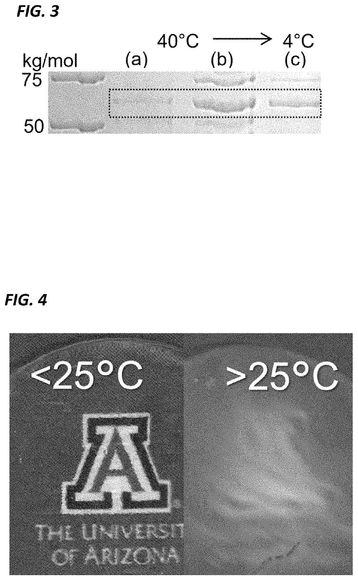 Antimicrobial biopolymer compositions, methods of synthesis, and applications of use