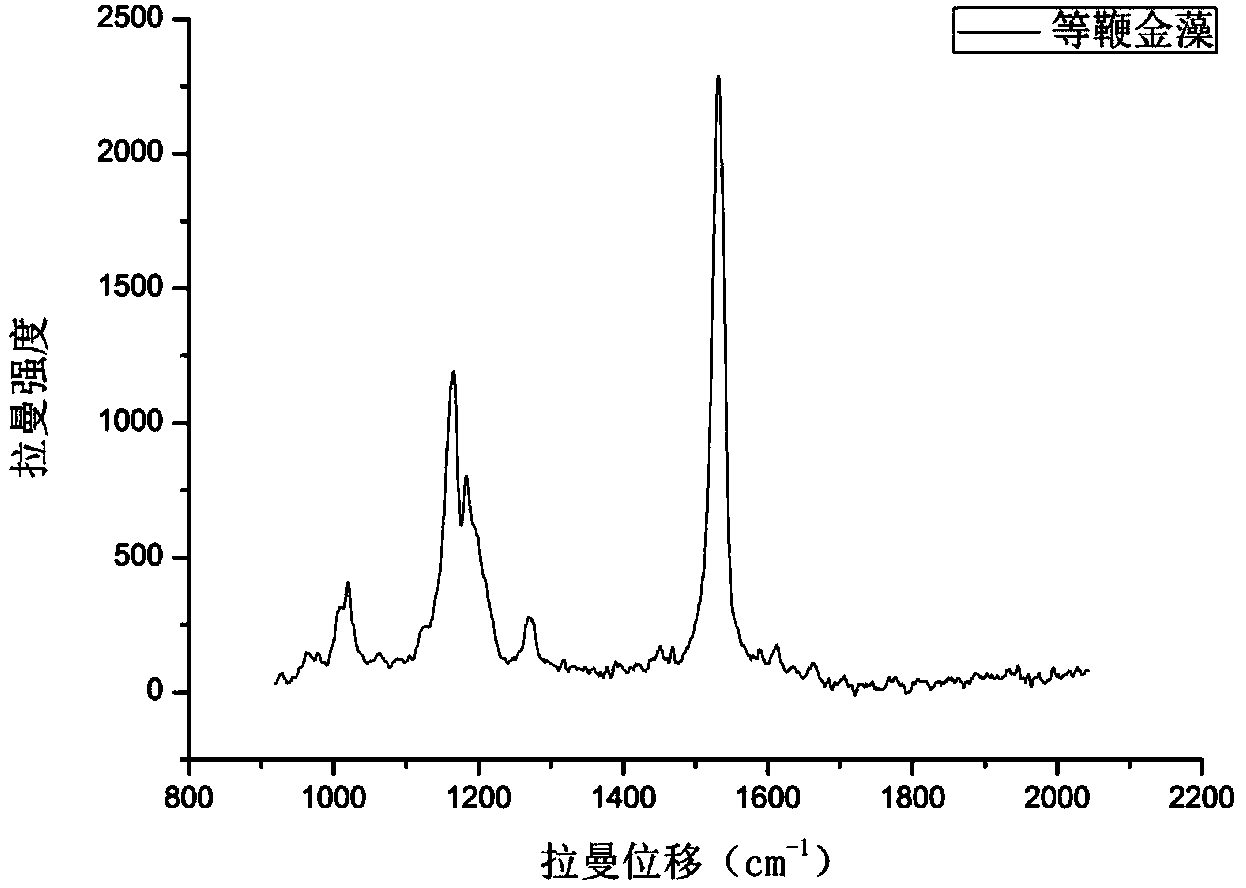 Detection method for distribution of carotene in Isochrysis galbana based on Raman spectroscopy