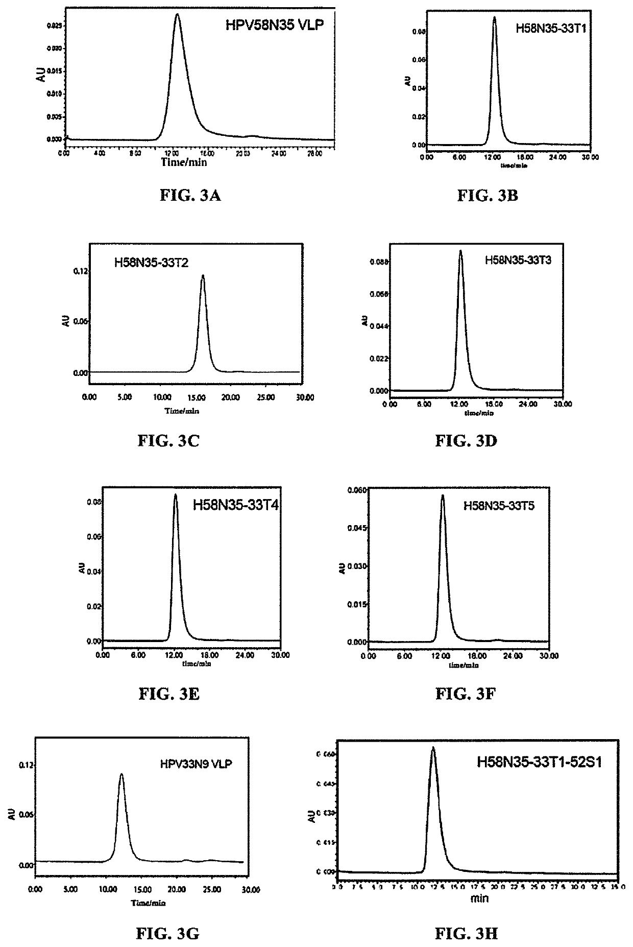 Mutant of L1 protein of human papillomavirus type 58