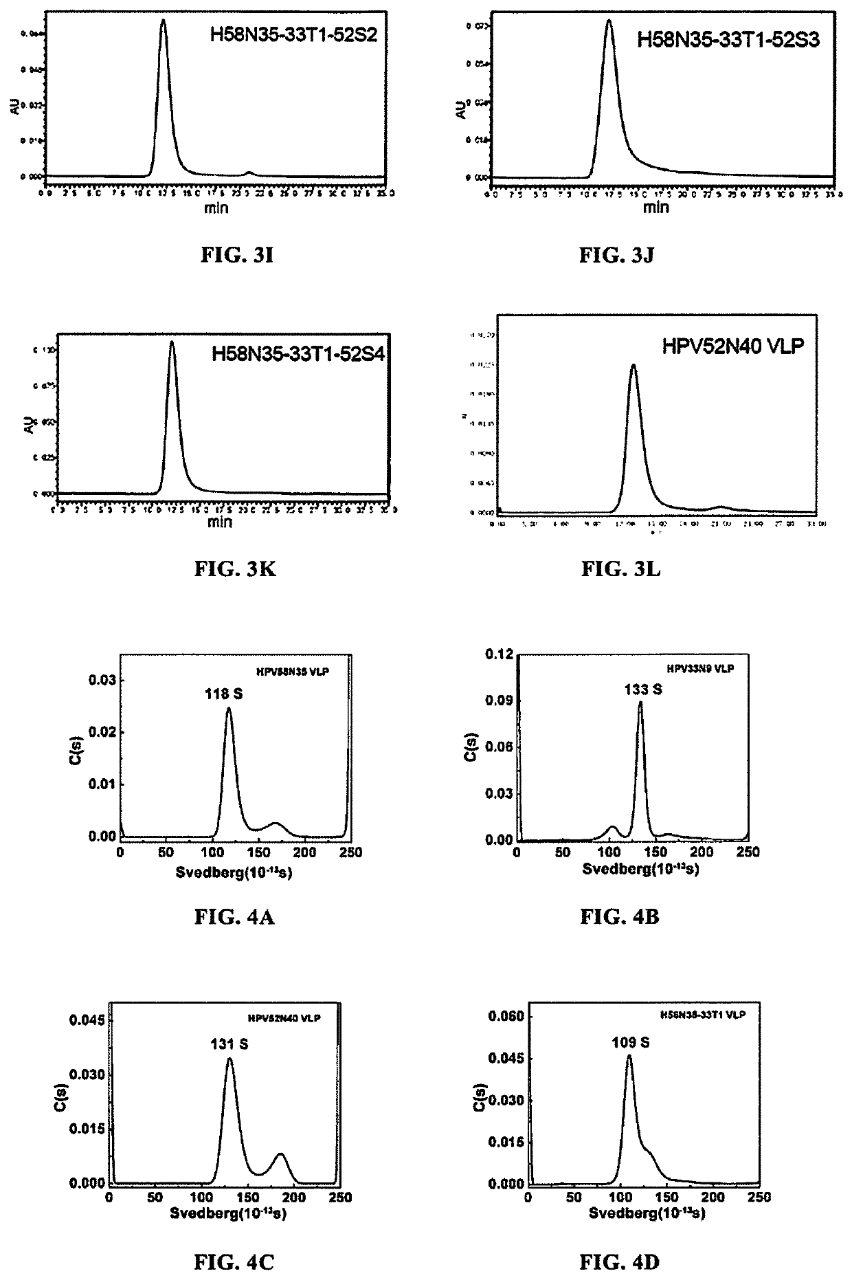 Mutant of L1 protein of human papillomavirus type 58