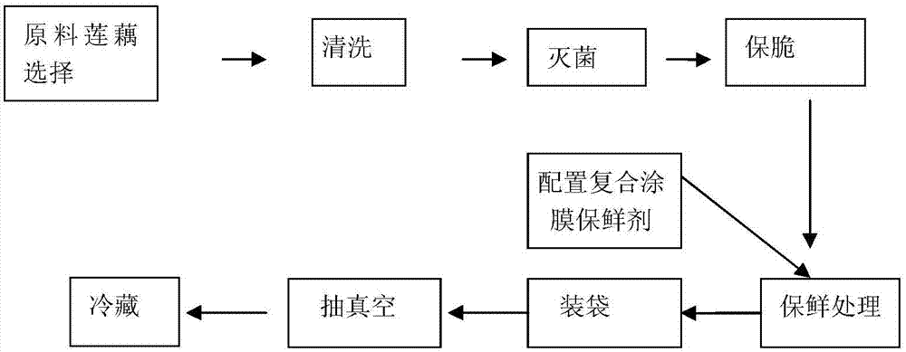 Method for preserving lotus root with garlic extract and onion extract