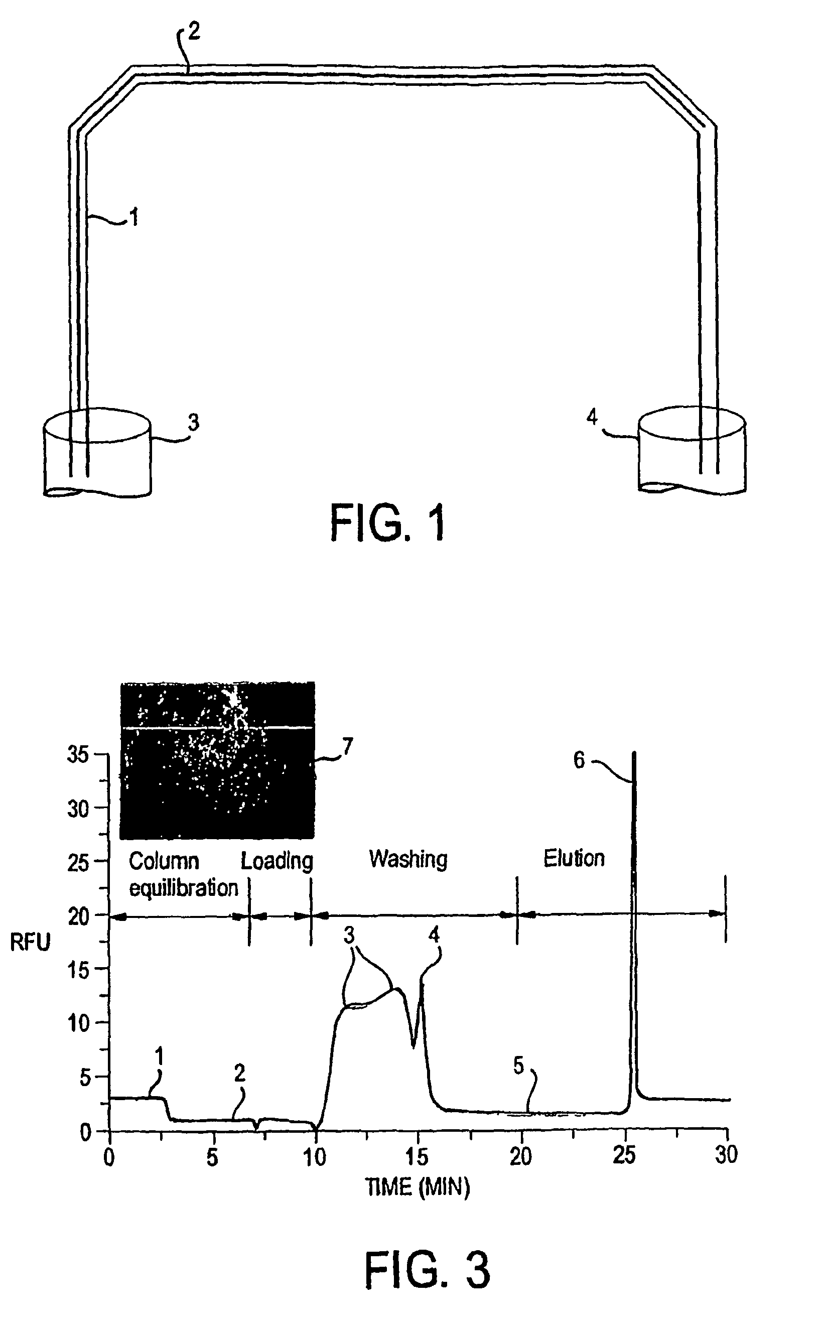 Grafted photo-polymerized monolithic column