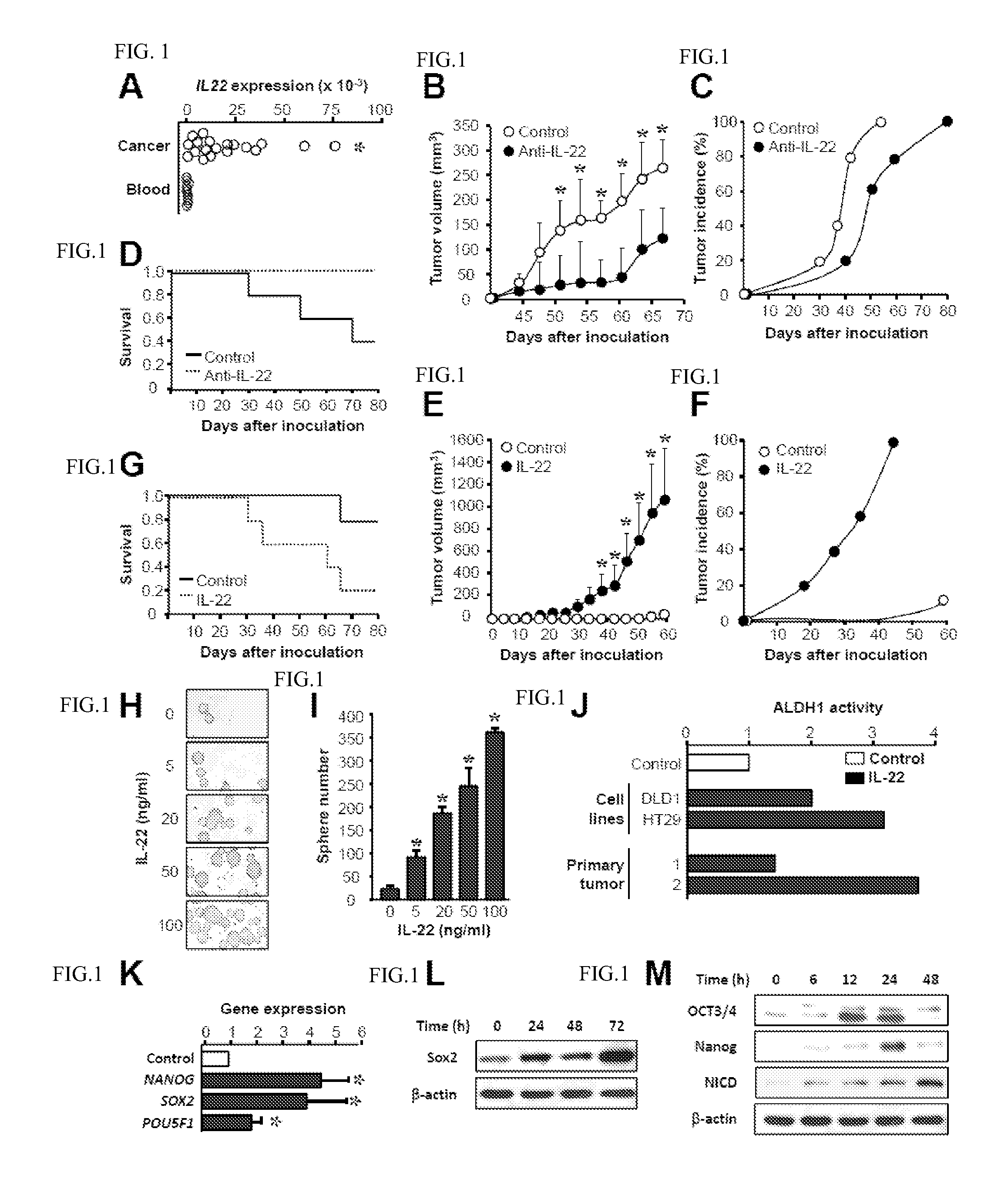 Compositions and methods for detecting and treating colorectal cancer