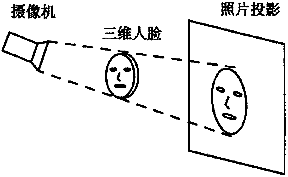 Real-time facial expression reconstruction method