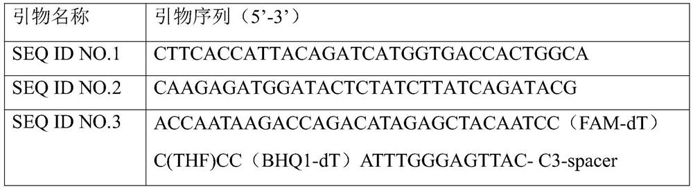 Primer pair, amplification reagent, kit and detection method for detecting infectious hypodermal and hematopoietic necrosis virus (IHHNV) of prawns and application