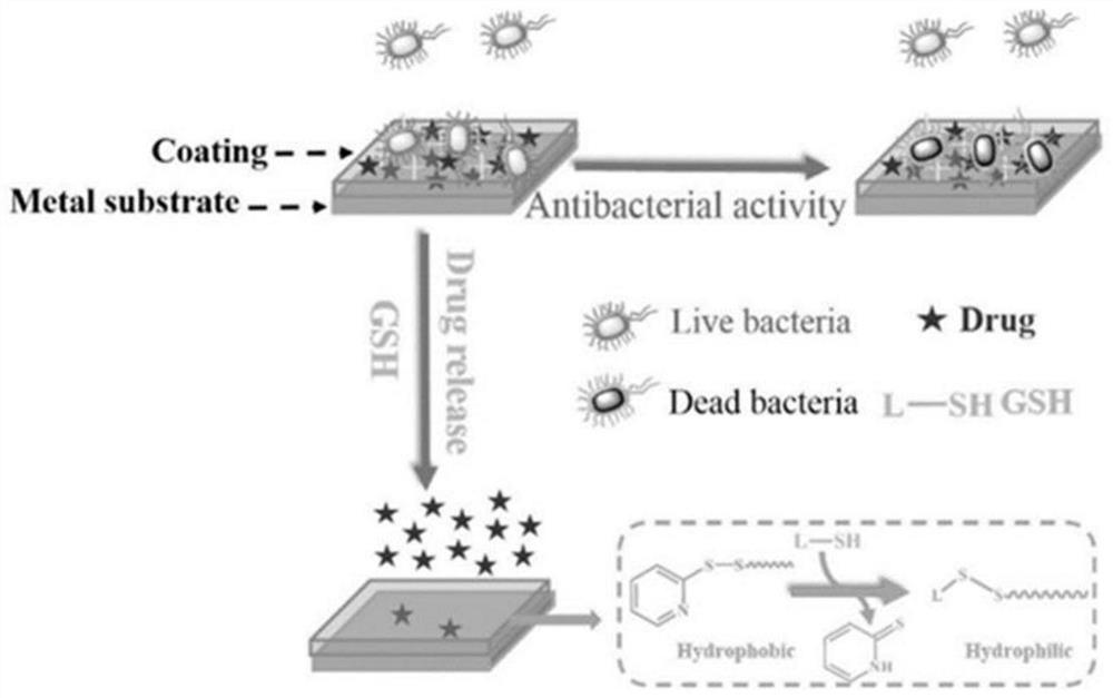 A coating with both responsive drug release and antibacterial functions and its preparation method