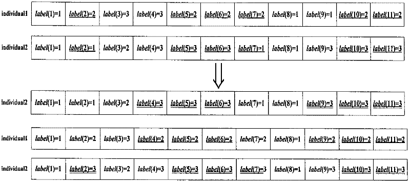 Image retrieval method based on memetic algorithm