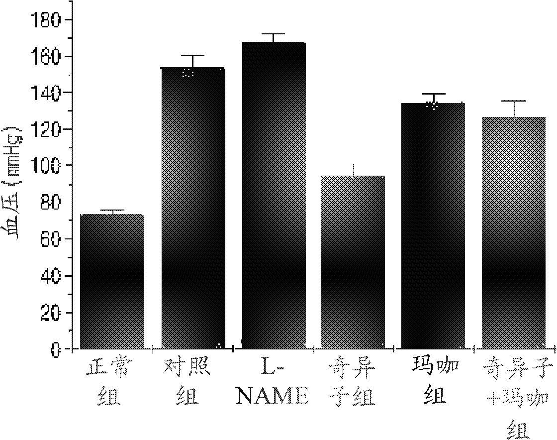 Health supplement food, feed, and pharmaceutical composition comprising chia seed and maca, and manufacturing method thereof