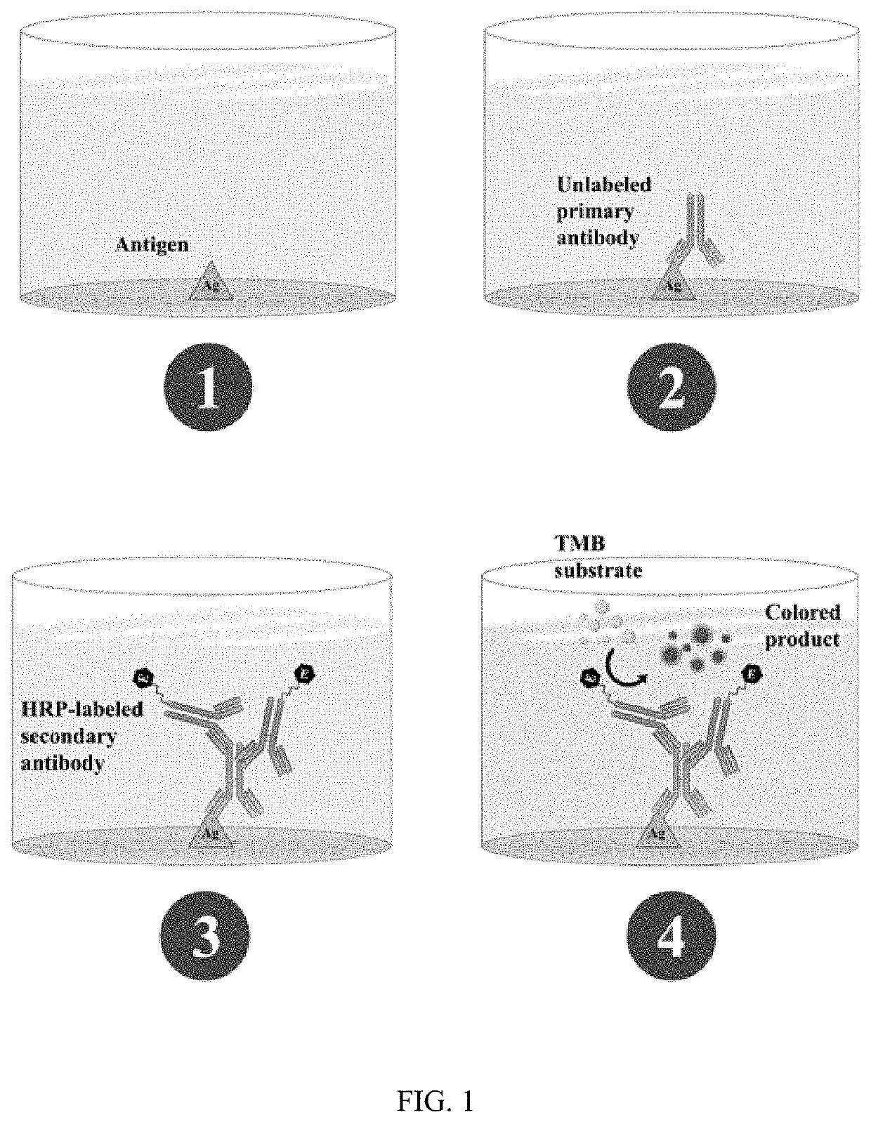 SARS-CoV-2 surrogate virus neutralization assay test kit