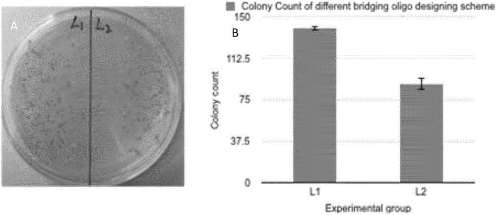 One-tube reaction type DNA molecule clone splicing method