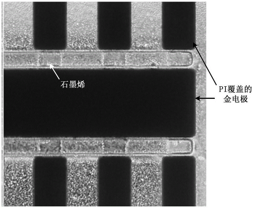 Preparation method and detection method of liquid gate type graphene field effect transistor based on pi