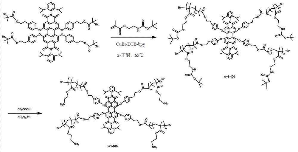 Fluorescent star-like polymer as well as preparation method and application thereof