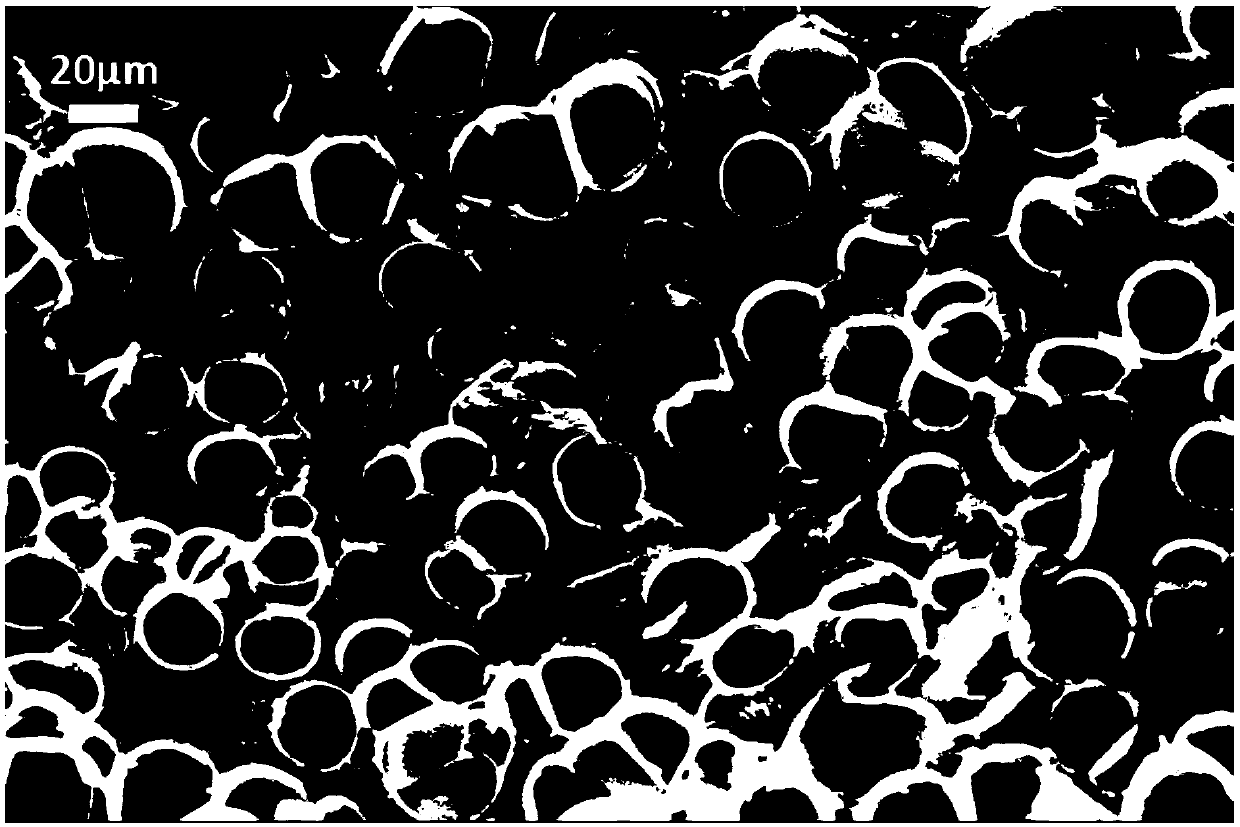 Preparation process of polycarbonate foamed sheet and product of preparation process