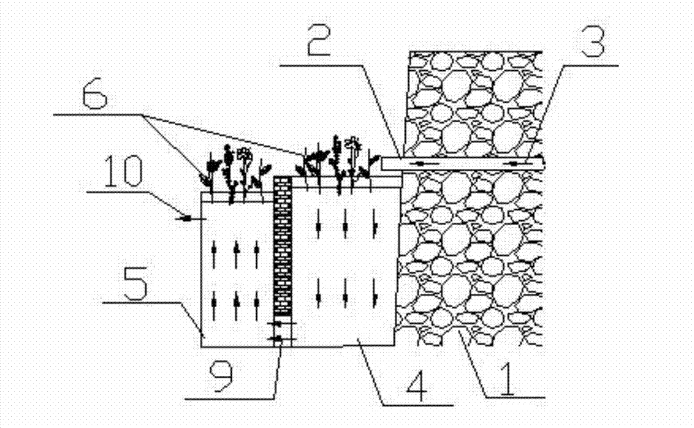 In-situ reduction or control method of sewage discharged from sewage discharge outlet