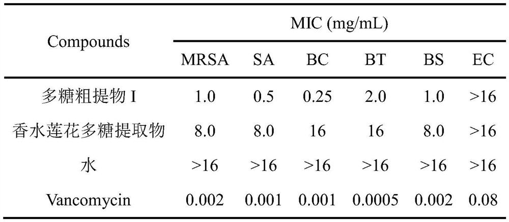 Nymphaea hybrida polysaccharide extract as well as preparation method and application thereof