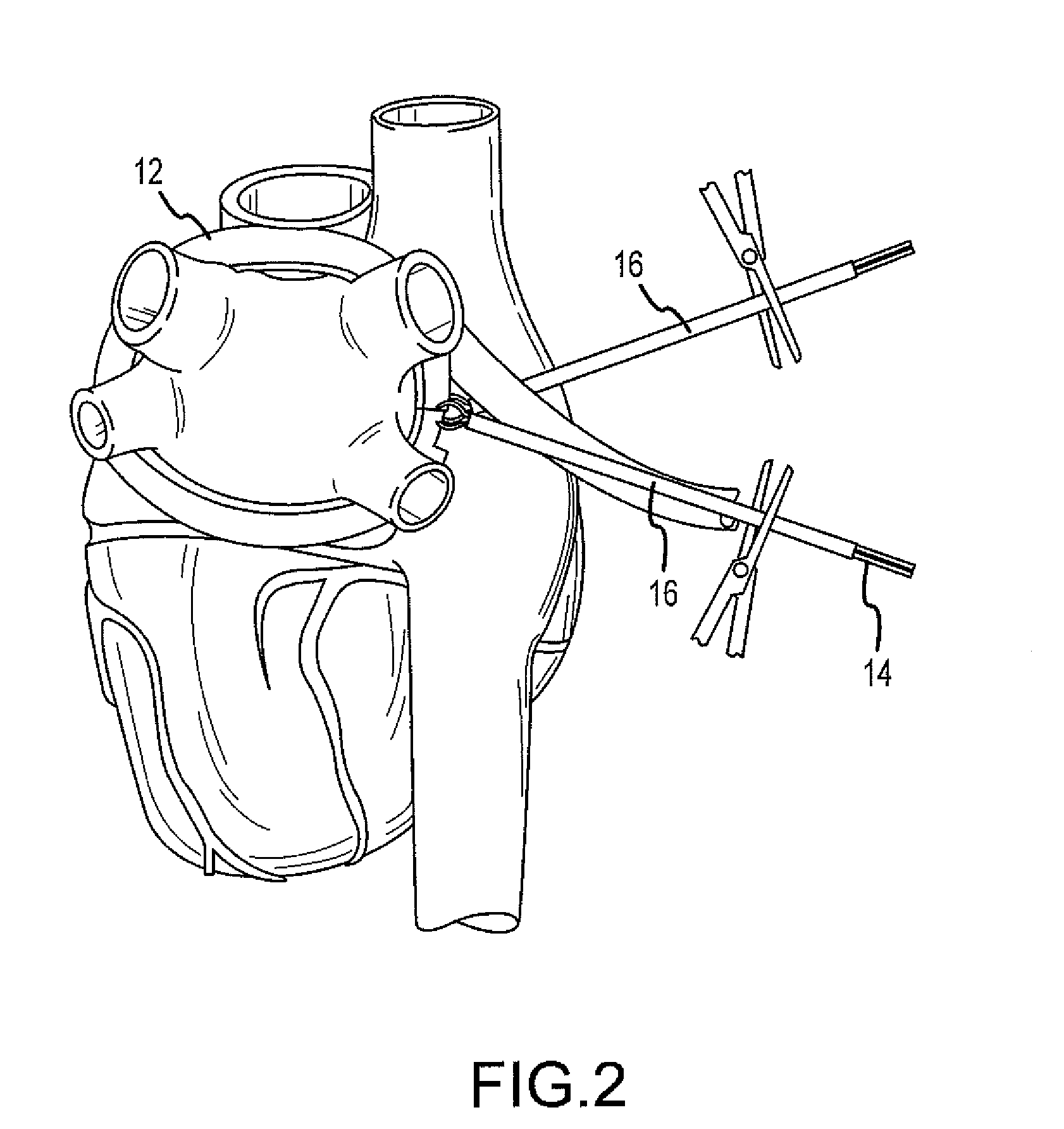 Universal cell carrier