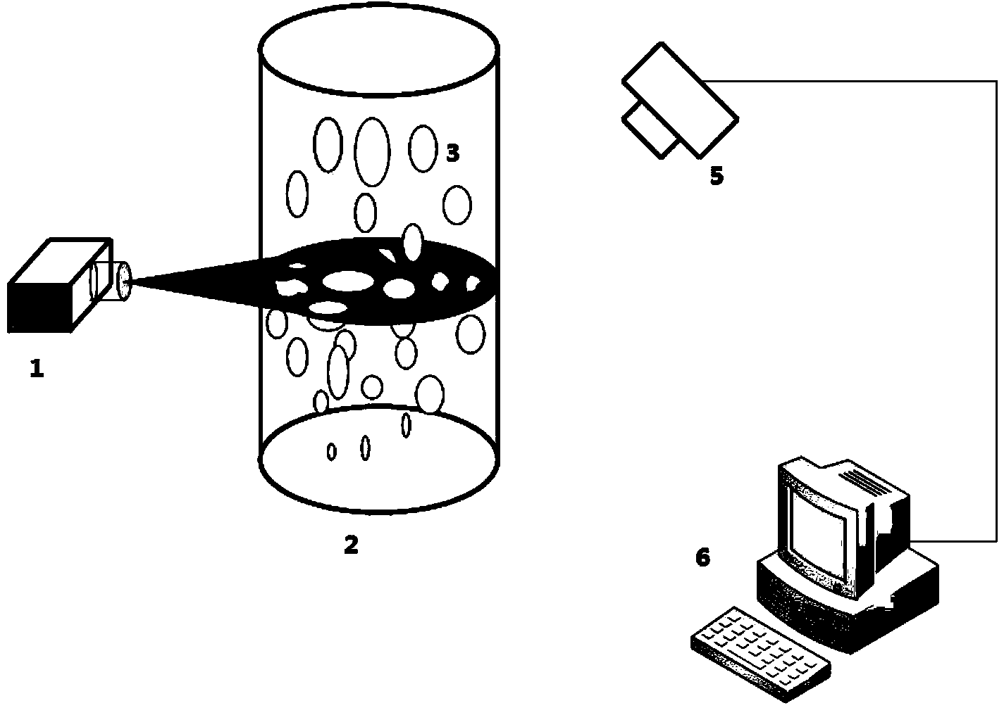 Device for measuring section void fraction of two-phase fluids
