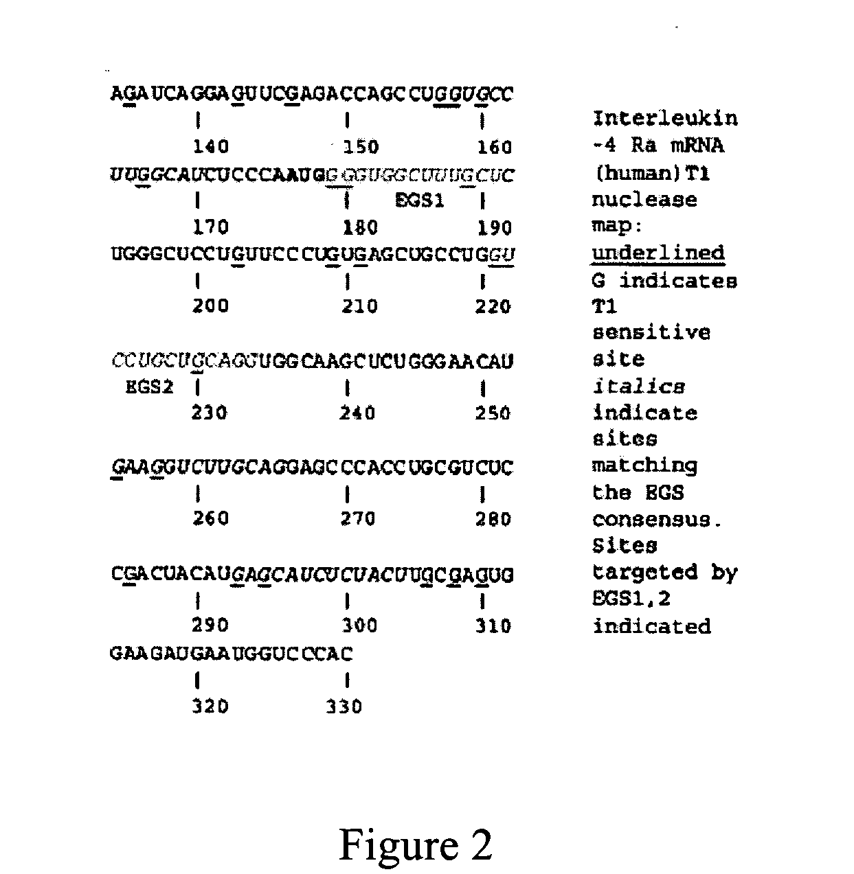 Nuclease resistant external guide sequences for treating inflammatory and viral related respiratory diseases