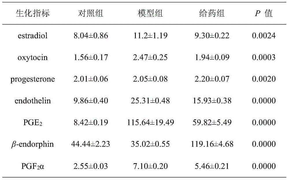 A method for making an animal model of primary dysmenorrhea of ​​cold coagulation and blood stasis type