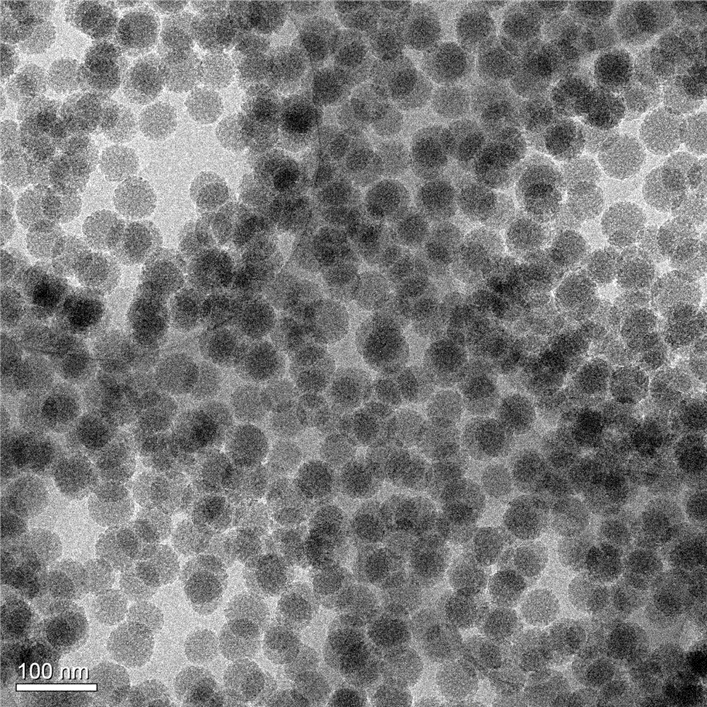 A kind of preparation method of hierarchical mesoporous silica nanoparticles