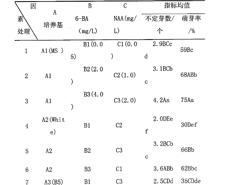 Method for realizing excellent plant body induction and successive propagation culture on dendrobium candidum by virtue of plant tissue culture