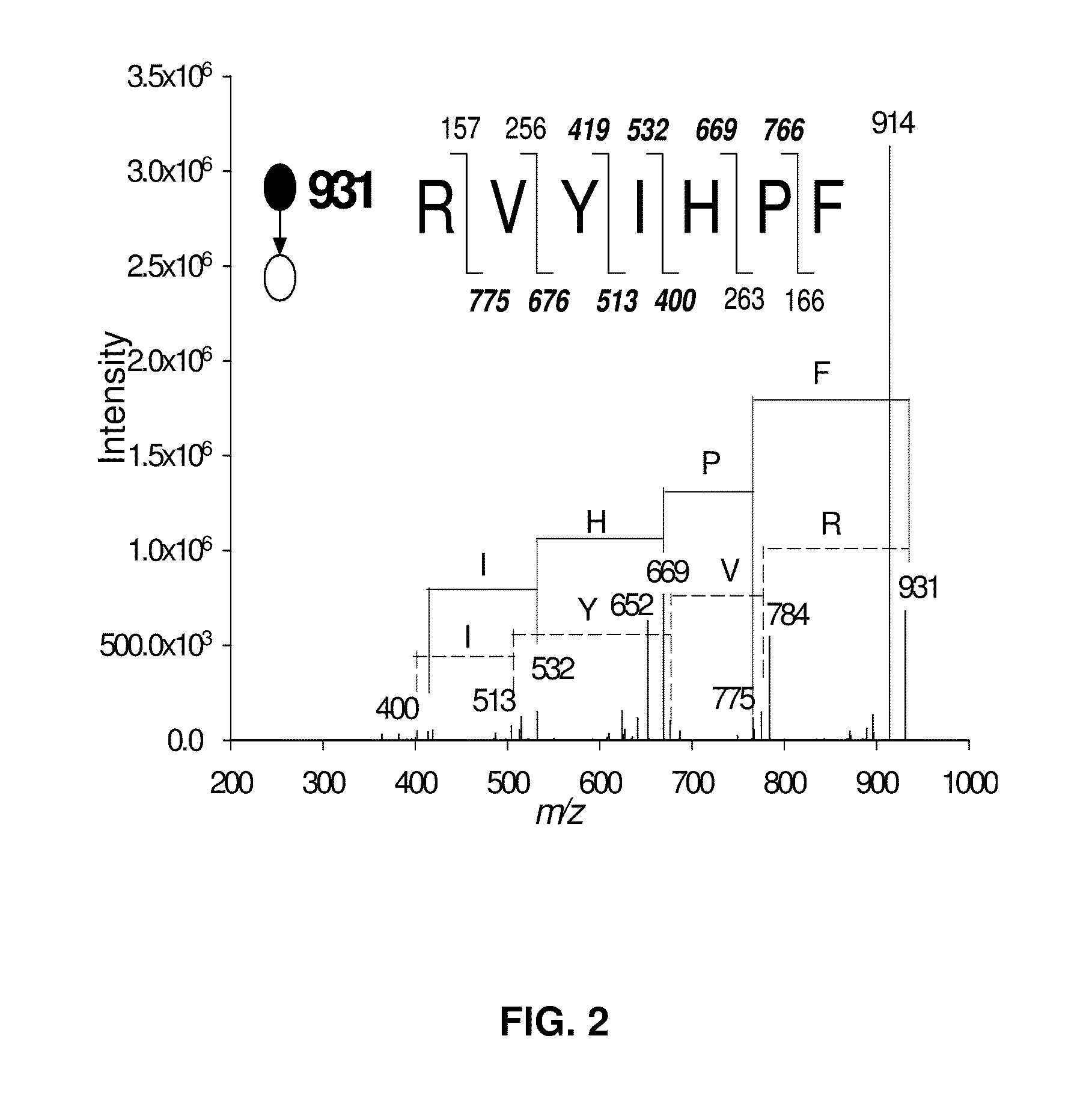 Method and apparatus for pyrolysis-induced cleavage in peptides and proteins