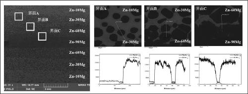 Preparation method for controllable degradation type zinc-magnesium gradient material