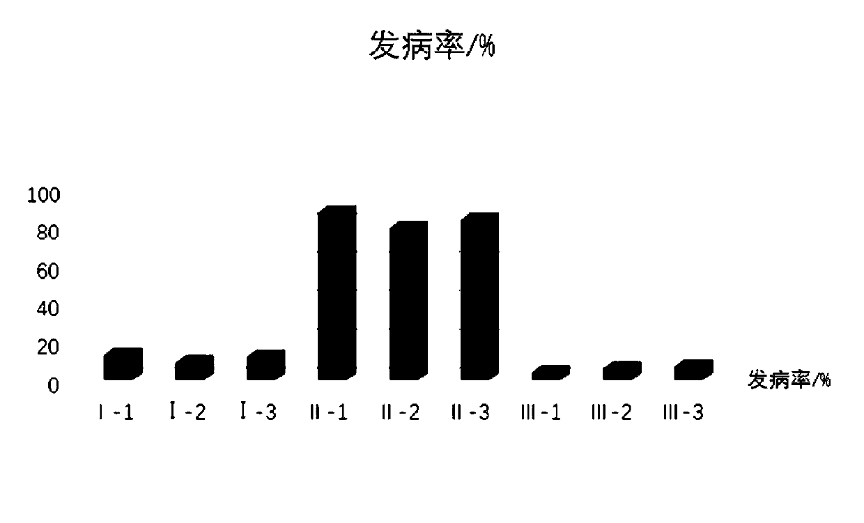 Photosynthetic bacteria strain, biocontrol agent, biocontrol fermentation liquid, preparation method and application thereof