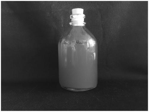 Photosynthetic bacteria strain, biocontrol agent, biocontrol fermentation liquid, preparation method and application thereof