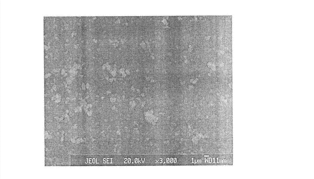 Magnesium alloy surface conversion treatment liquid and treatment method thereof