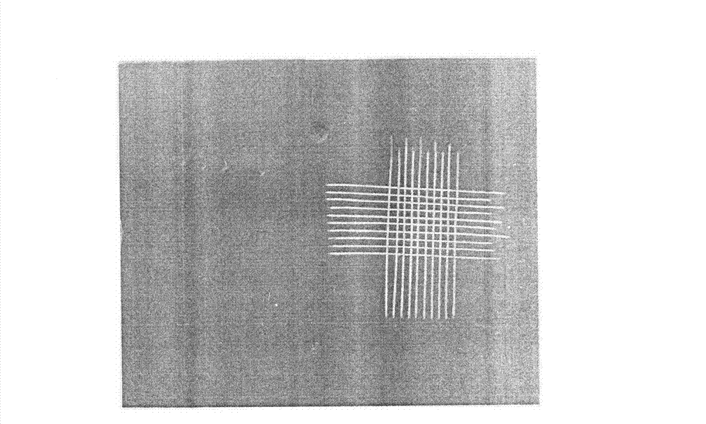 Magnesium alloy surface conversion treatment liquid and treatment method thereof