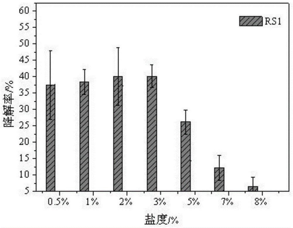 Petroleum degradation bacterium in oil-containing sludge and application thereof