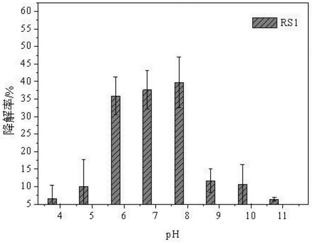 Petroleum degradation bacterium in oil-containing sludge and application thereof