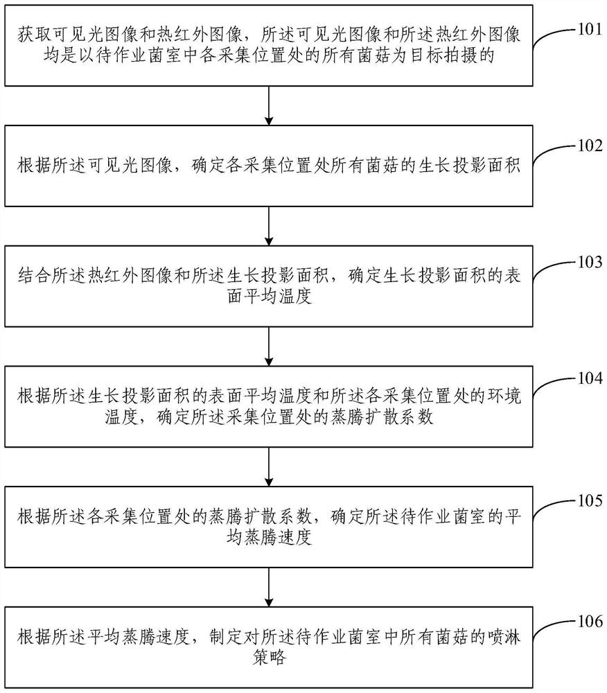 Mushroom spraying control method, device and system