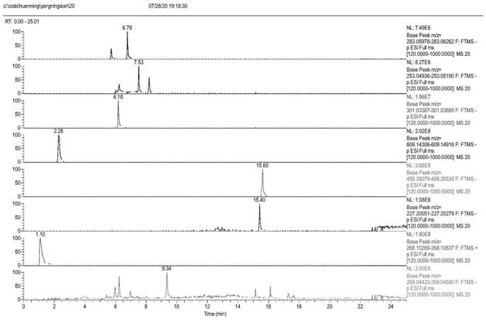 Method for detecting chemical components of pseudobulbs of Cremastra appendiculata based on UPLC-ESI-MS